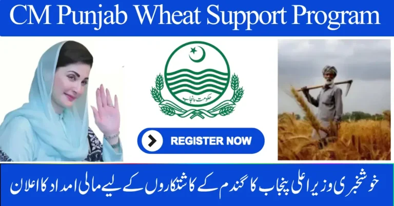 Punjab Farmers to Get Rs. 5,000 Per Acre – CM Punjab Wheat Support Program 2025 Registration Open in October