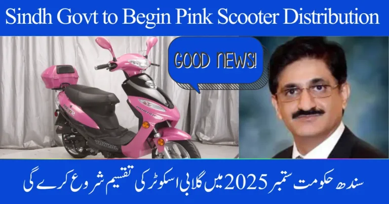 Sindh Govt to Begin Pink Scooter Distribution in September 2025 – Sharjeel Memon Confirms Details