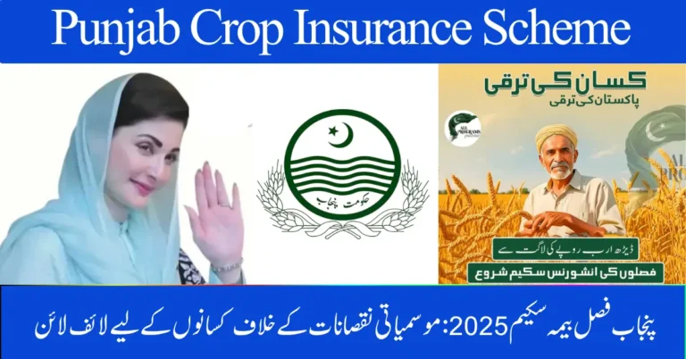 Punjab Crop Insurance Scheme 2025: A Lifeline for Farmers Against Climate Losses