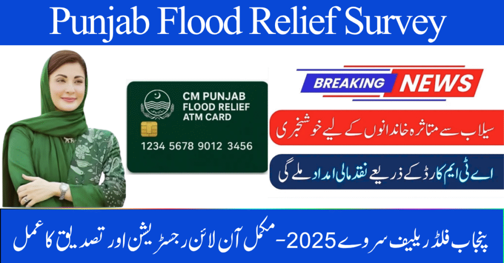 Punjab Flood Relief Survey 2025 – Complete Online Registration & Verification Process