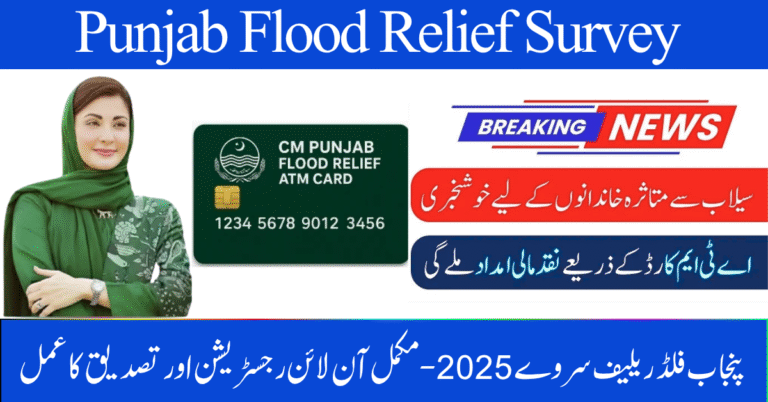 Punjab Flood Relief Survey 2025 – Complete Online Registration & Verification Process