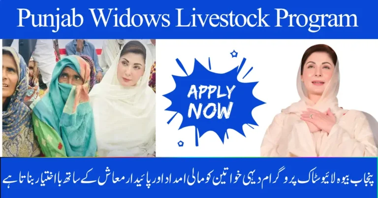 Punjab Widows Livestock Program 2025 Empowers Rural Women with Financial Aid & Sustainable Livelihoods