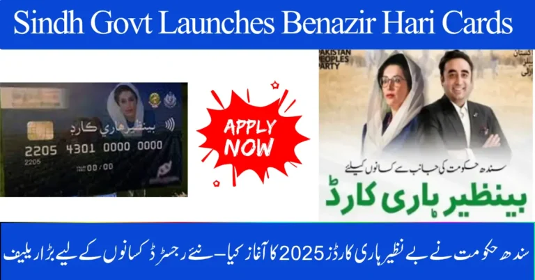 Sindh Govt Launches Benazir Hari Cards 2025 – Big Relief for Newly Registered Farmers | October Update